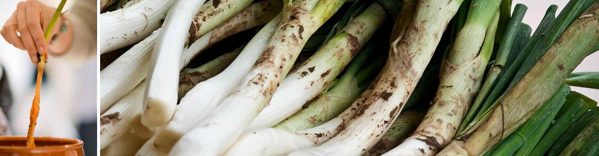 ¿Dónde comer calçots en Mataró?<br>Restaurantes para calçotadas