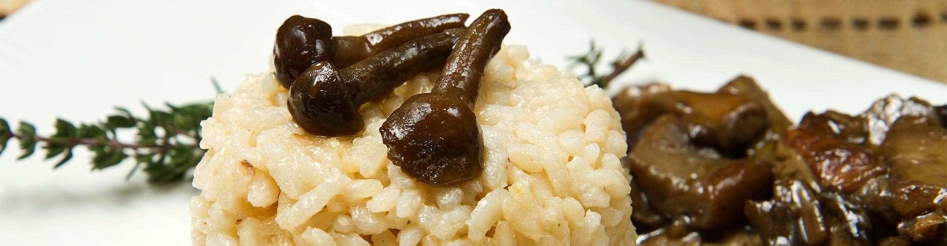 ¿Dónde comer risotto en El Pla de Sant Tirs?