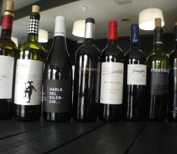 Excelentes vinos