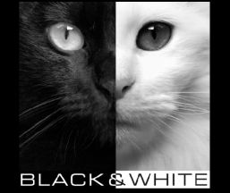 Restaurante Black&White